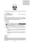 Vista preliminar de documento RD 4010-2024