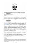 Vista preliminar de documento RD 2234-2022