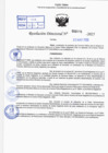 Vista preliminar de documento R.D N° 425-2025