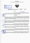 Vista preliminar de documento R.D N° 427-2025