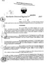 Vista preliminar de documento RDR 0364-2025