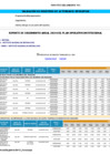Vista preliminar de documento REPORTE SEGUIMIENTO APP CEPLAN POI 2024