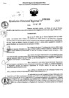 Vista preliminar de documento RDR 0366-2025