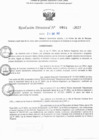 Vista preliminar de documento RD N° 601-2025
