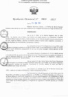 Vista preliminar de documento RD N° 602-2025