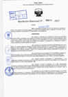 Vista preliminar de documento R.D N° 431-2025