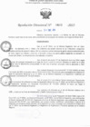 Vista preliminar de documento RD N° 603-2025