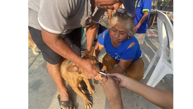 Además, se ofrecieron diversos servicios para perros y gatos, tales como tratamiento de pulgas, corte de uñas, limpieza de oídos, desparasitación interna y externa, y consultas veterinarias. 
La Municipalidad de El Agustino continúa comprometida con el bienestar y la salud de nuestros amigos de cuatro patas.