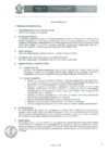 Vista preliminar de documento Requerimiento