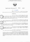 Vista preliminar de documento RD N° 604-2025