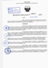 Vista preliminar de documento R.D N° 435-2025
