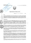 Vista preliminar de documento RD N° 119-2025-DE/HJATCH