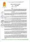 Vista preliminar de documento R A 11-2025-A-MDT