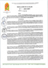 Vista preliminar de documento R A 13-2025-A-MDT