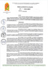 Vista preliminar de documento R A 15-2025-A-MDT