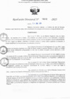 Vista preliminar de documento RD N° 608-2025