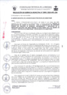Vista preliminar de documento 0095-2025RG