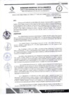 Vista preliminar de documento RDS N 77 AJ