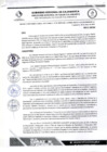 Vista preliminar de documento RDS N 81 AJ