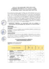 Vista preliminar de documento Acta 04 Entrevista Personal Proceso CAS 002-2025