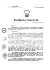 Vista preliminar de documento RD N°110-2025-HNCH-DG
