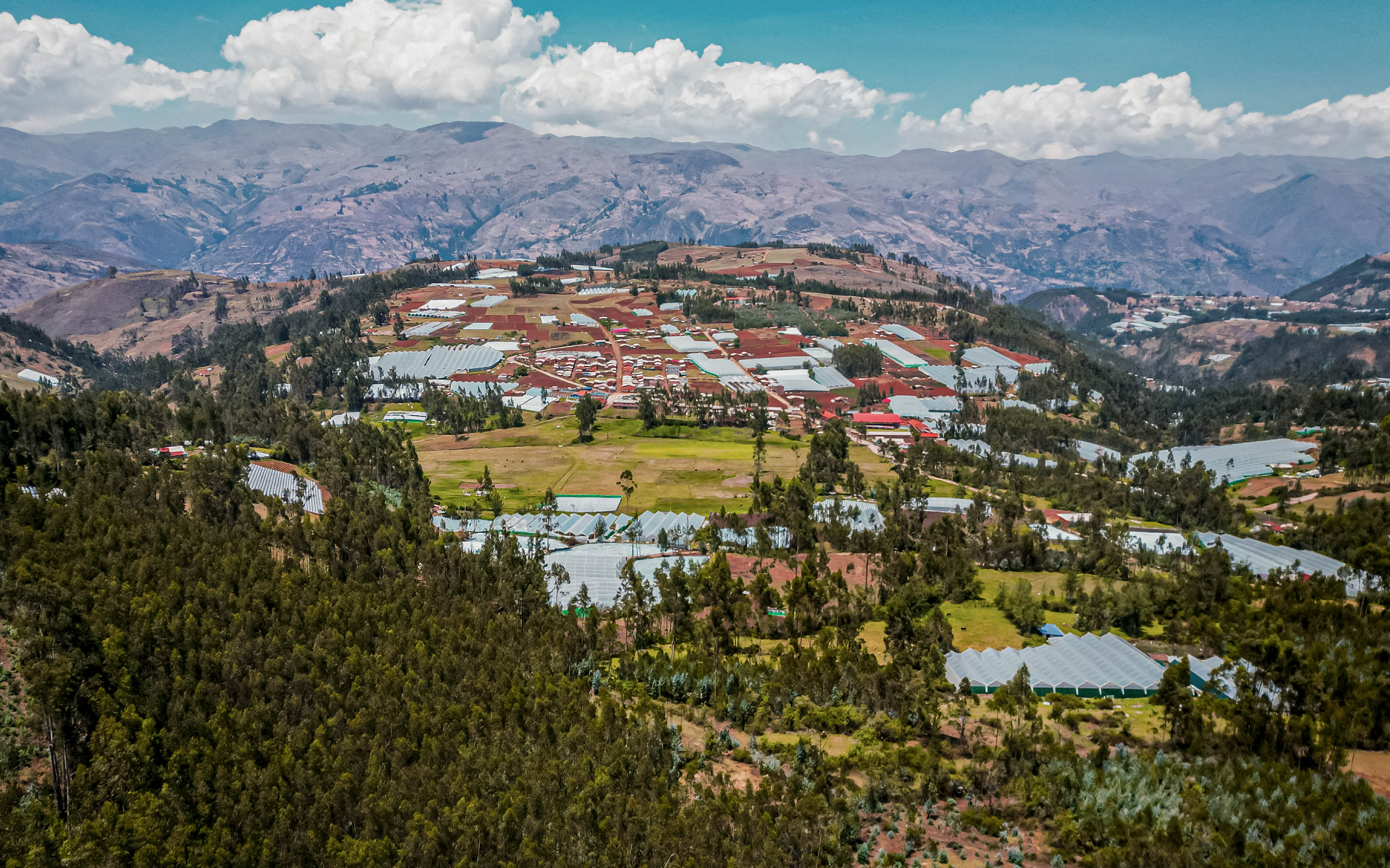 Zonificación forestal