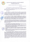 Vista preliminar de documento RGM 0358-2024-MDSC