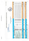 Vista preliminar de documento REPORTE DE SEGUIMIENTO ANUAL DEL PLAN OPERATIVO INSTITUCIONAL