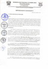 Vista preliminar de documento ORDENANZA MUNICIPAL N007-2019-MPPA-A