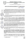 Vista preliminar de documento RDR 079-2025