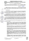 Vista preliminar de documento RDR 081-2025