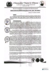 Vista preliminar de documento RESOLUCION DE GERENCIA MUNICIPAL N° 042-2025-GM-MDI