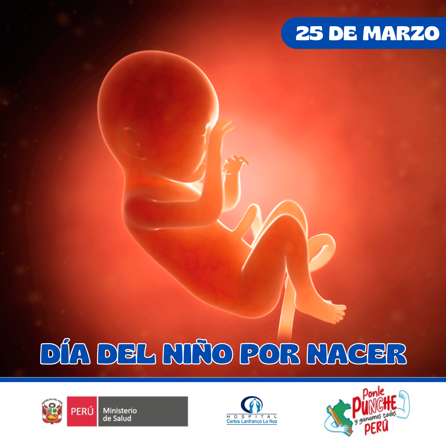 niño