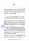 Vista preliminar de documento Resolucion Gerencial Regional Nº393-2025