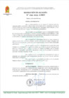 Vista preliminar de documento R A 29-2025-A-MDT