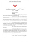 Vista preliminar de documento RD 438-2025 - CONTRA DOC - QUITO ARMAS JUNIOR ELMER