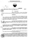 Vista preliminar de documento RDR 0369-2025