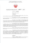 Vista preliminar de documento RD 447-2025 - CONTRA DOC - MOTA LEON MICAELA MAGALI