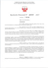 Vista preliminar de documento RD 456-2025 - CONTRA DOC - ROSAS YANAC JUAN CARLOS
