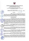Vista preliminar de documento R.D Nº 000911- 2024 DECLARAR PROCEDENTE 30% - ARCESE TERRANOVA ZARATE