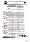 Vista preliminar de documento RESOLUCION DE GERENCIA MUNICIPAL N° 047-2025-GM-MDI