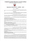 Vista preliminar de documento RD 459-2025 - LSG - ANDAHUA ARELLAN WILLIAM FREDY