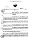 Vista preliminar de documento RDR 0373-2025
