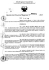 Vista preliminar de documento RDR 0374-2025