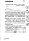 Vista preliminar de documento rd063-2025