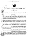 Vista preliminar de documento RDR 0376-2025