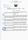 Vista preliminar de documento R.D N° 466-2025