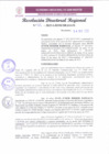 Vista preliminar de documento RDR 107-2025