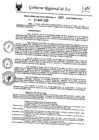 Vista preliminar de documento rer-080-2025-gore-ica-gr