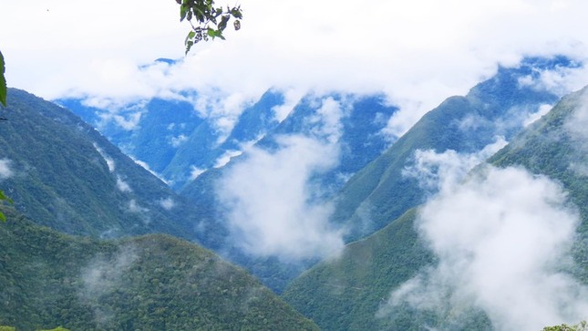 Hoy celebramos el 16° aniversario del Santuario Nacional Pampa Hermosa: Un verdadero tesoro de biodiversidad